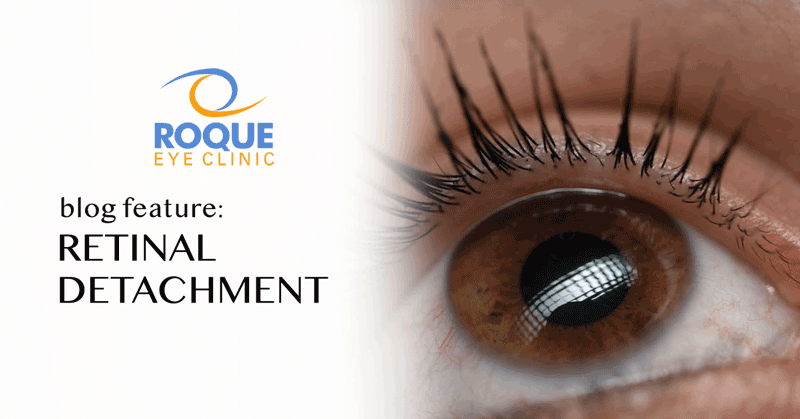 Amsler Grid Test  Roque Eye Clinic