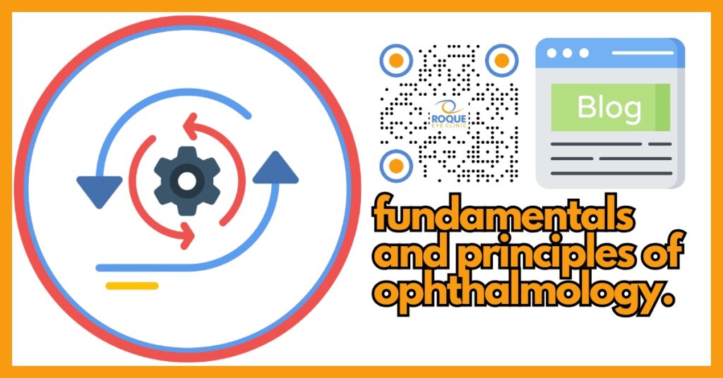 The Eye Blog - Fundamentals and Principles of Ophthalmology Blog