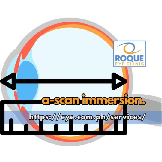A-SCAN IMMERSION